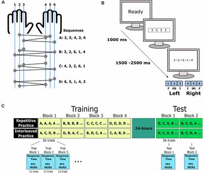 Prefrontal Cortex Activation During Motor Sequence Learning Under Interleaved and Repetitive Practice: A Two-Channel Near-Infrared Spectroscopy Study